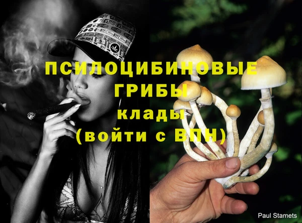 спиды Алзамай