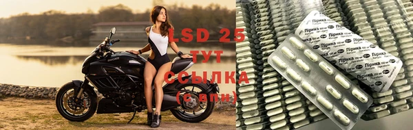 спиды Алзамай