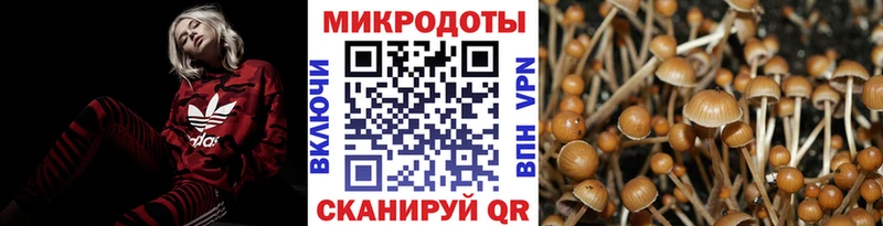 Псилоцибиновые грибы прущие грибы  купить  цена  Анапа 